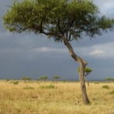 www.winaid.co.za