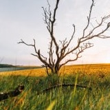 www.winaid.co.za