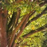 www.winaid.co.za
