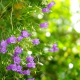 www.winaid.co.za