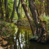 www.winaid.co.za