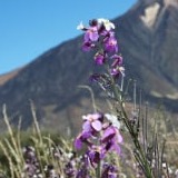 www.winaid.co.za