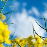 www.winaid.co.za
