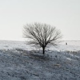 www.winaid.co.za
