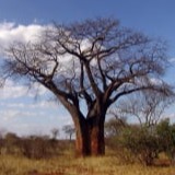 www.winaid.co.za
