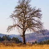 www.winaid.co.za