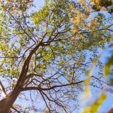 www.winaid.co.za