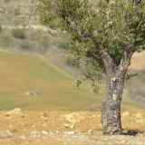 www.winaid.co.za