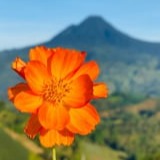 www.winaid.co.za