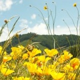 www.winaid.co.za