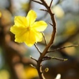 www.winaid.co.za