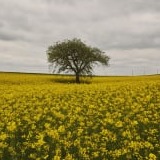 www.winaid.co.za