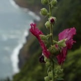 www.winaid.co.za